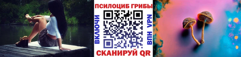 мега зеркало  Чистополь  Псилоцибиновые грибы Psilocybe 