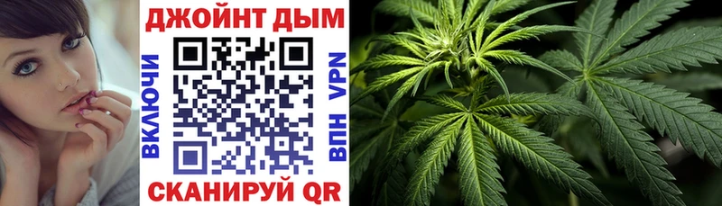 Конопля марихуана  Чистополь 
